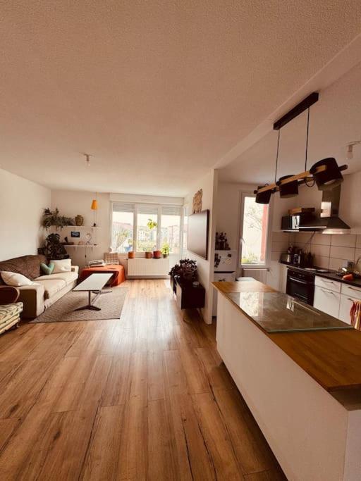 Bel Appartement Proche Mulhouse Pfastatt Extérieur photo